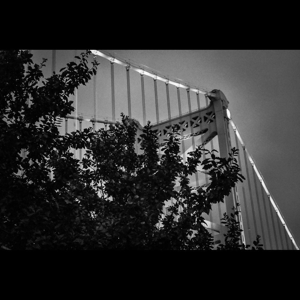 Meet your Posher, Maggie